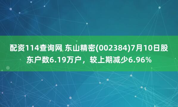 配资114查询网 东山精密(002384)7月10日股东户数6.19万户,较上期减少6.96%