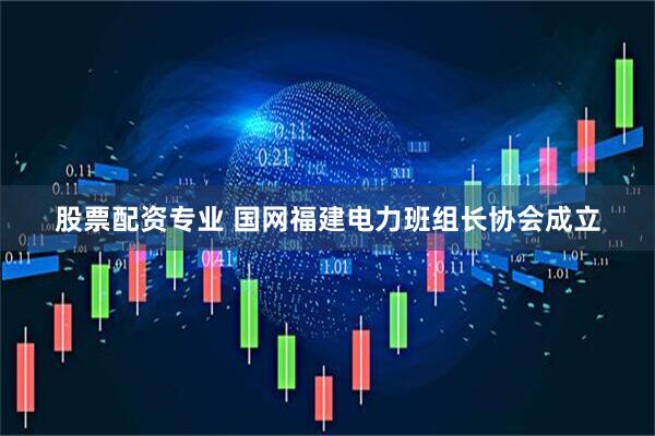 股票配资专业 国网福建电力班组长协会成立