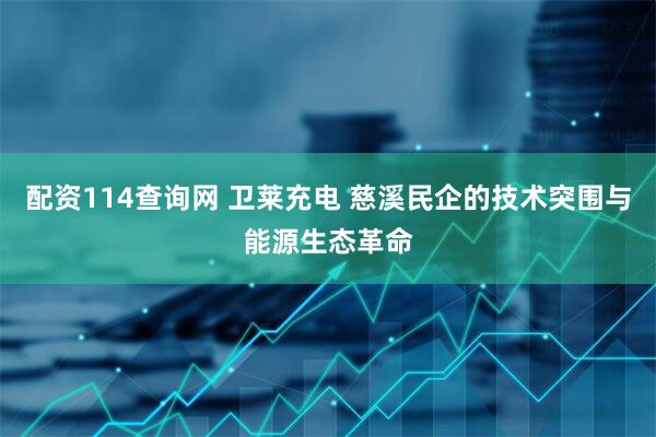 配资114查询网 卫莱充电 慈溪民企的技术突围与能源生态革命