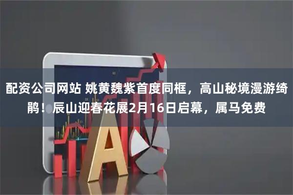 配资公司网站 姚黄魏紫首度同框，高山秘境漫游绮鹃！辰山迎春花展2月16日启幕，属马免费